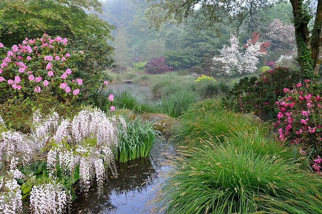 Dans le jardin botanique de Haute Bretagne - Photo de Foltière - Licence ccbysa 3.0
