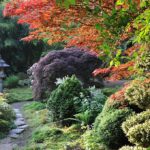 6 beaux jardins botaniques à visiter en Bretagne (un peu partout)