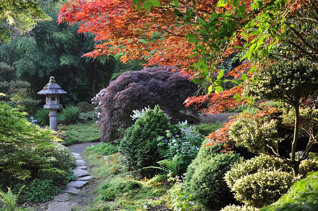 Dans le jardin botanique de Haute Bretagne - Photo de Foltière - Licence ccbysa 3.0