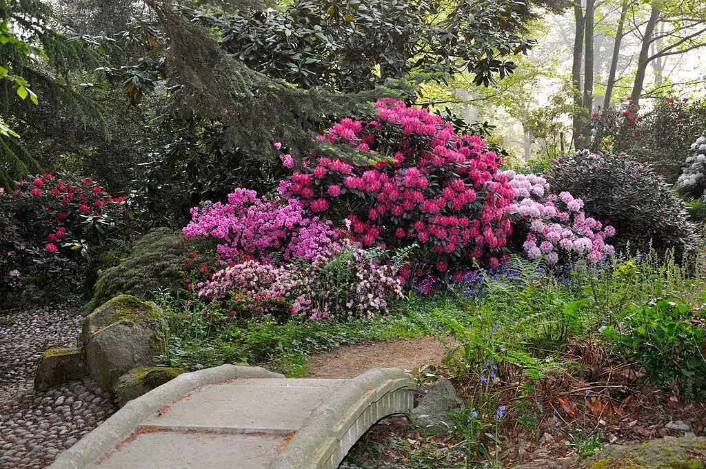 Dans le jardin botanique de Haute Bretagne - Photo de Foltière - Licence ccbysa 3.0