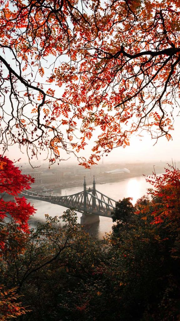 Vue sur le Pont de la liberté depuis le mont Gellert dans le quartier de Taban à Budapest - Photo de Daniel Olah