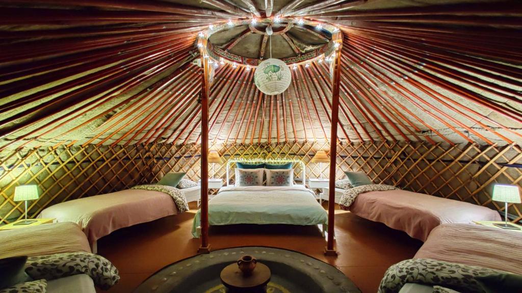 Lire la suite à propos de l’article 8 auberges de jeunesse à Budapest : A partir de 9€ en 2026