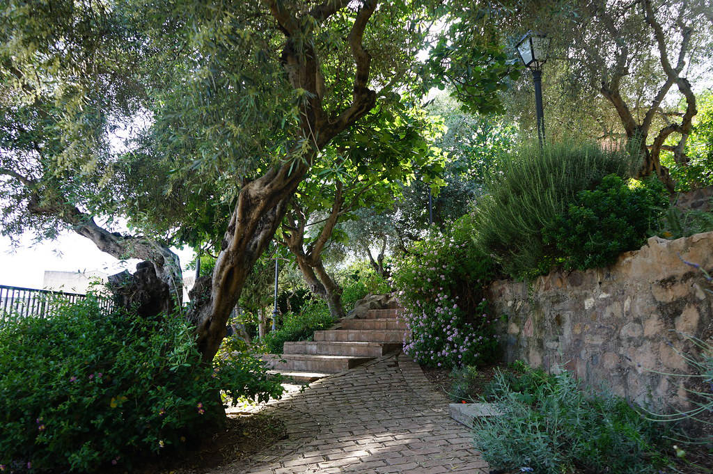 Jardin Olivar de la juderia dans l'ancien quartier juif.