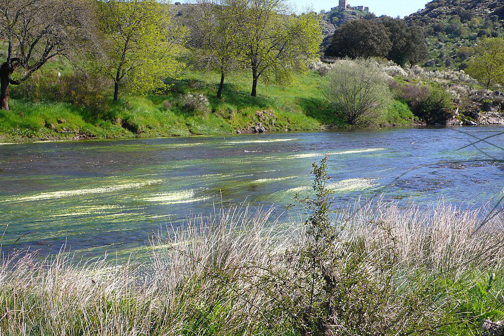 Tage dans le parc international entre l'Espagne et le Portugal - Photo de Para recordar sempre -Licence ccbysa 4.0