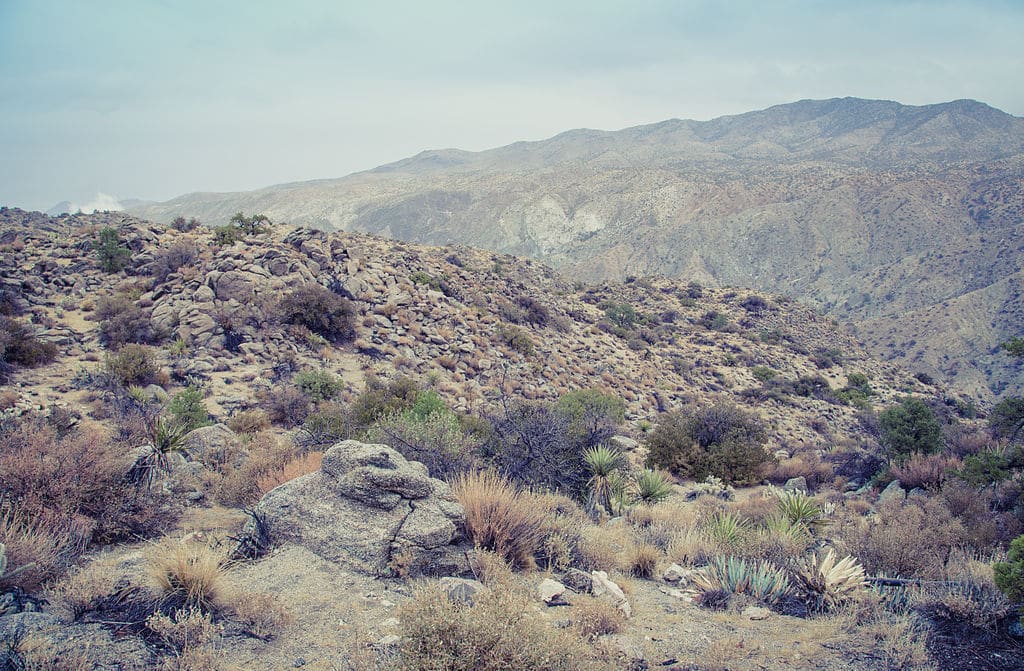 Montagne de San Jacinto - Photo de Tony Webster - Licence CC BY 2.0 