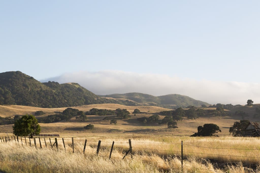 Dans la région de Paso Robles en Californie - Photo de Carol M. Highsmith