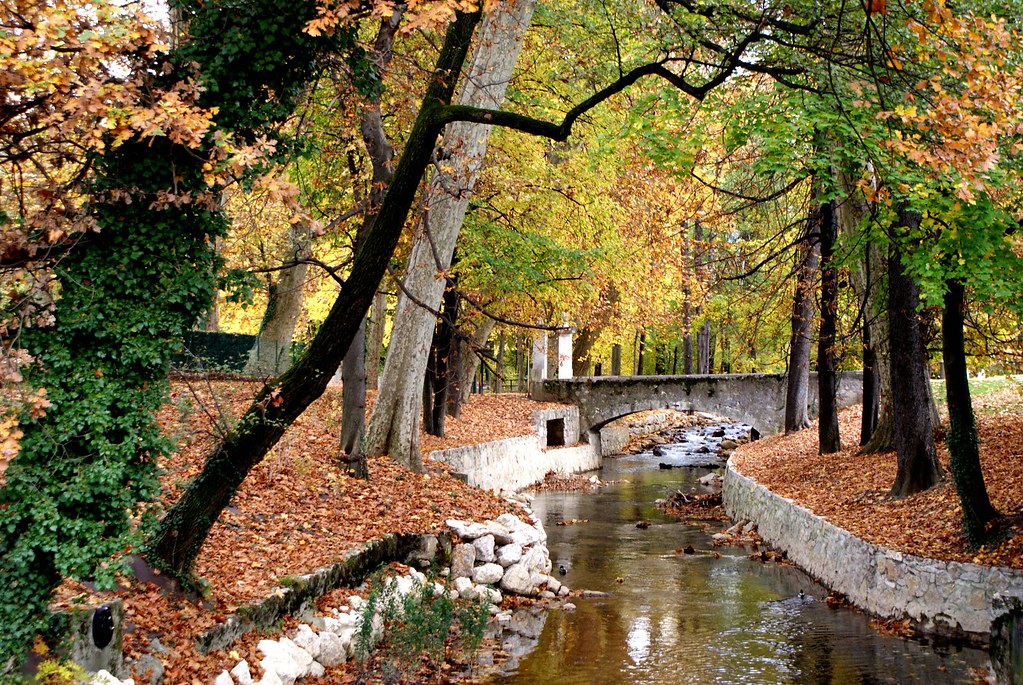 Dans un parc de Chambéry en automne.