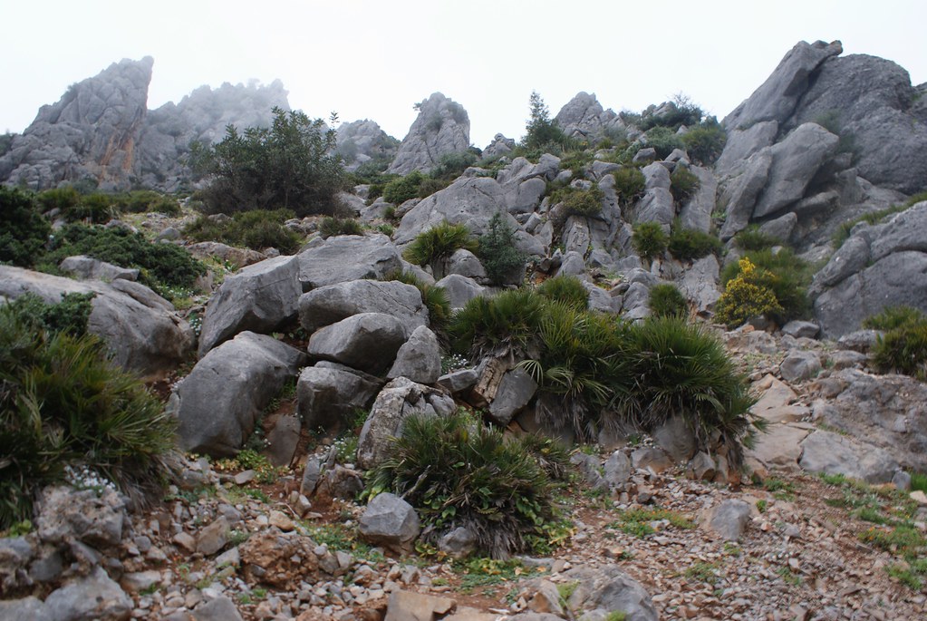 Le nom de la ville provient du berbère achawen, signifiant « les cornes », en raison des sommets montagneux qui dominent et l’entourent.