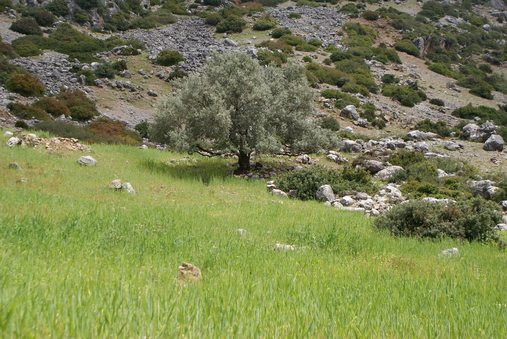 La campagne environnante offre un superbe paysage méditerranéen de montagne.