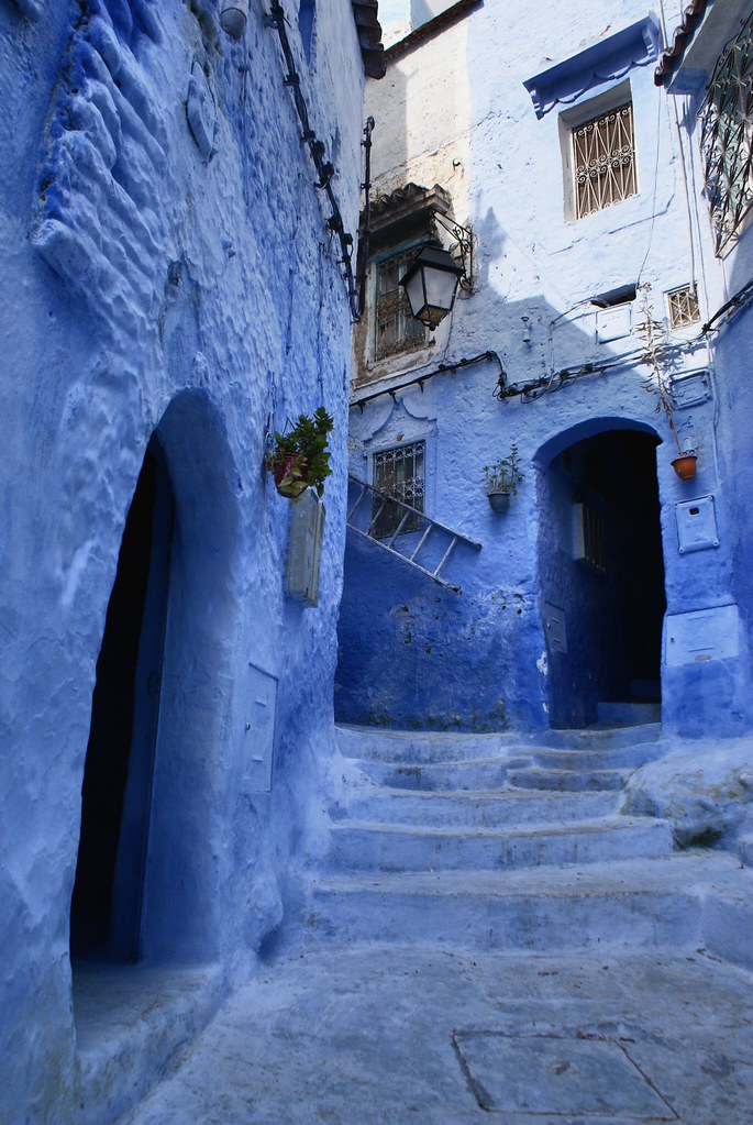 Les plantes disposées par les habitants offrent des contrastes agréables.