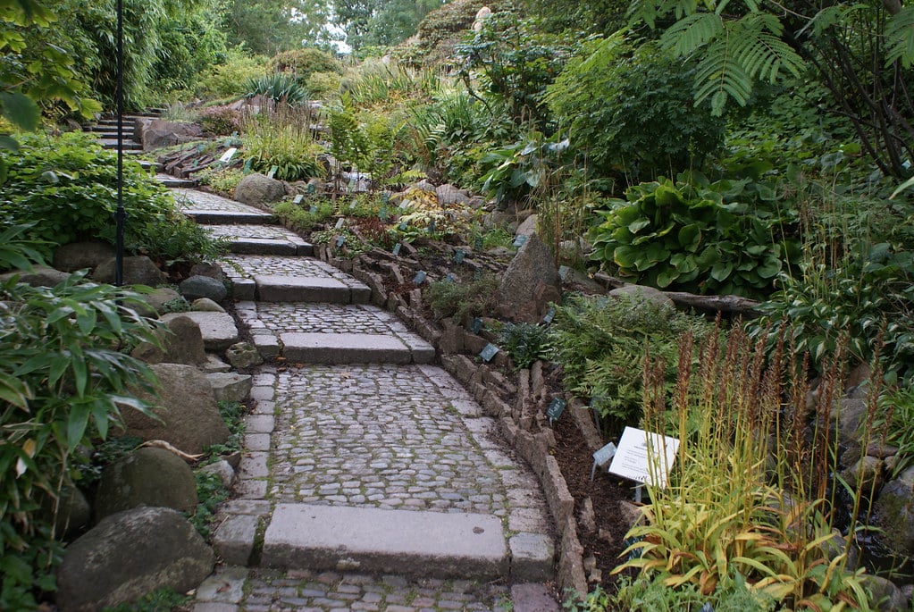 En direction de la petite colline surplombant le jardin botanique de Copenhague.