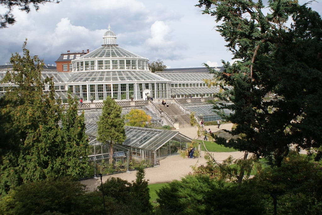 Serres tropicales du jardin botanique de Copenhague.
