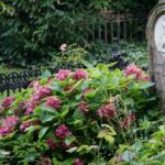 Romantique cimetière Assistens Kierkegaard à Copenhague [Norrebro]