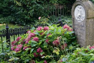 Romantique cimetière Assistens Kierkegaard à Copenhague [Norrebro]