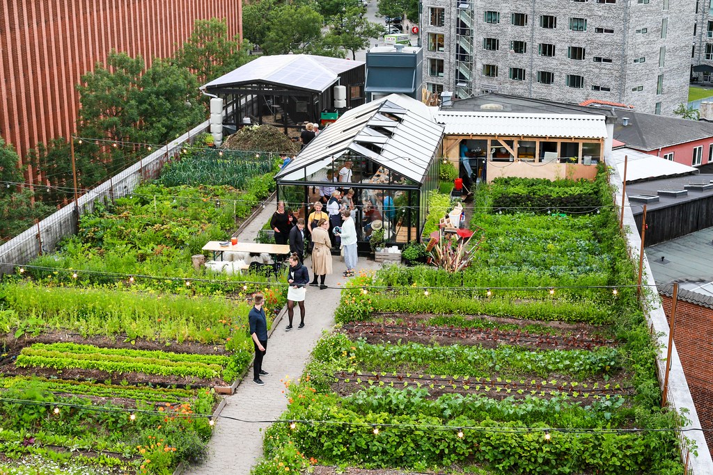 ØsterGro, restaurant et jardin communautaire sur les toits à Copenhague - Photo de Henning Thomsen