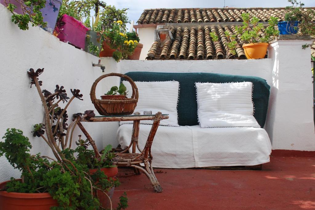 Terrasse de l'auberge de jeunesse Al Katre à Cordoue 