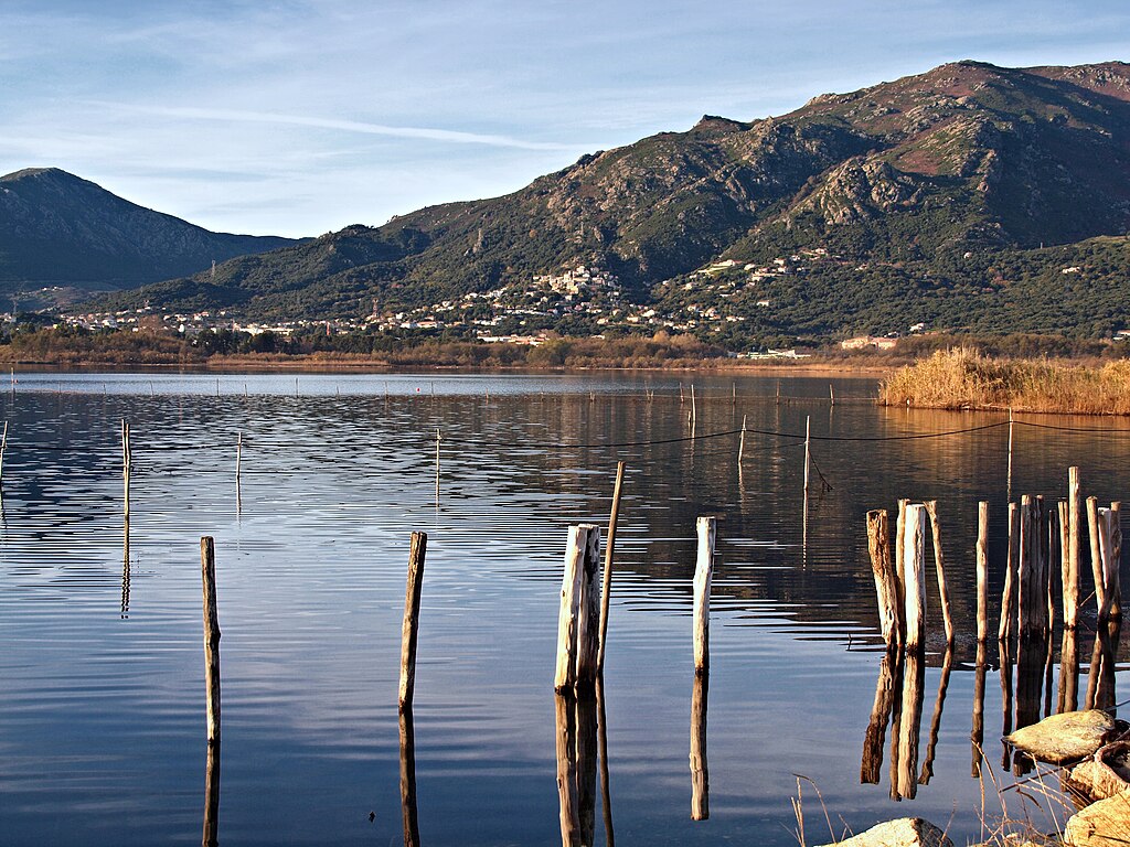 Etang Biguglia - Photo de Pierre Bona - Licence ccbysa 1.0, 2.0, 2.5, 3.0