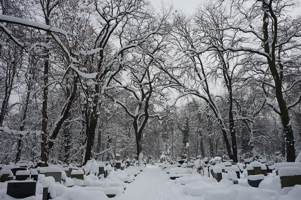 Dans le cimetière Rakowicki à Cracovie.