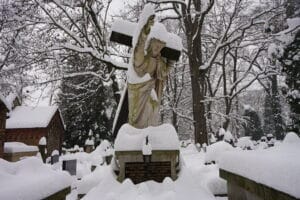 Cimetière Rakowicki à Cracovie : Art funéraire sous les arbres