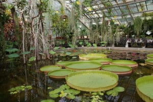 Jardin botanique de Cracovie : Belle expérience !