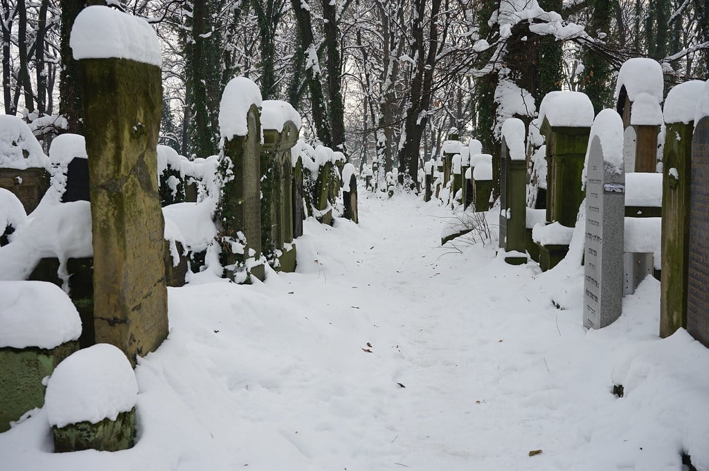 Allée du Nouveau cimetière juif en hiver.