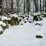 Nouveau Cimetière juif de Cracovie, émotions sous les arbres [Kazimierz]