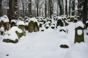 Nouveau Cimetière juif de Cracovie, émotions sous les arbres [Kazimierz]