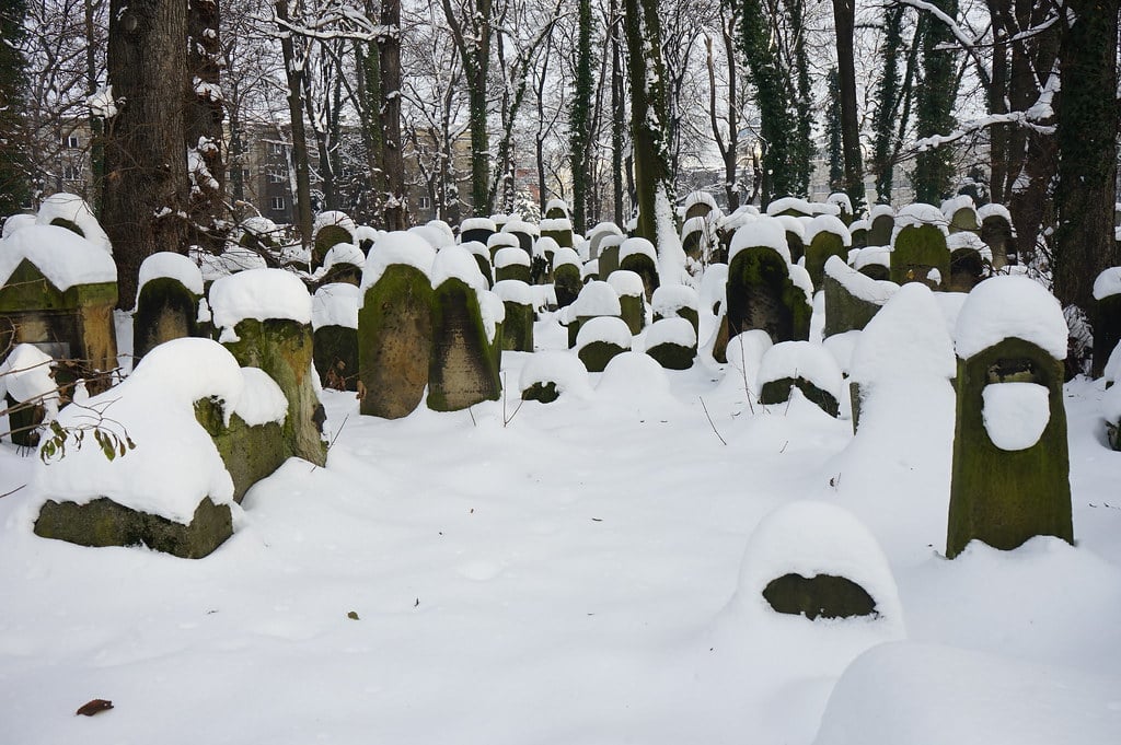 Lire la suite à propos de l’article Nouveau Cimetière juif de Cracovie, émotions sous les arbres [Kazimierz]