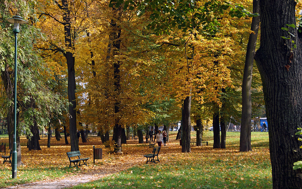 Dans le parc de Mogila à Nowa Huta, Cracovie. Photo de Zygmunt Put