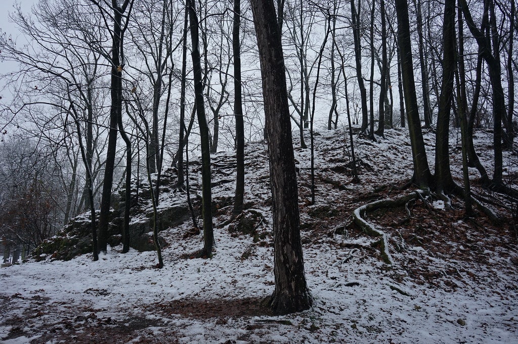 Dans le parc Bednarski à Cracovie.