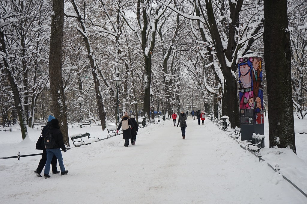 Allée enneigée du parc des Planty à Cracovie.
