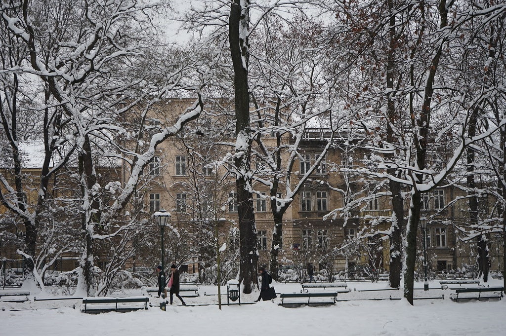 Parc des Planty sous la neige.