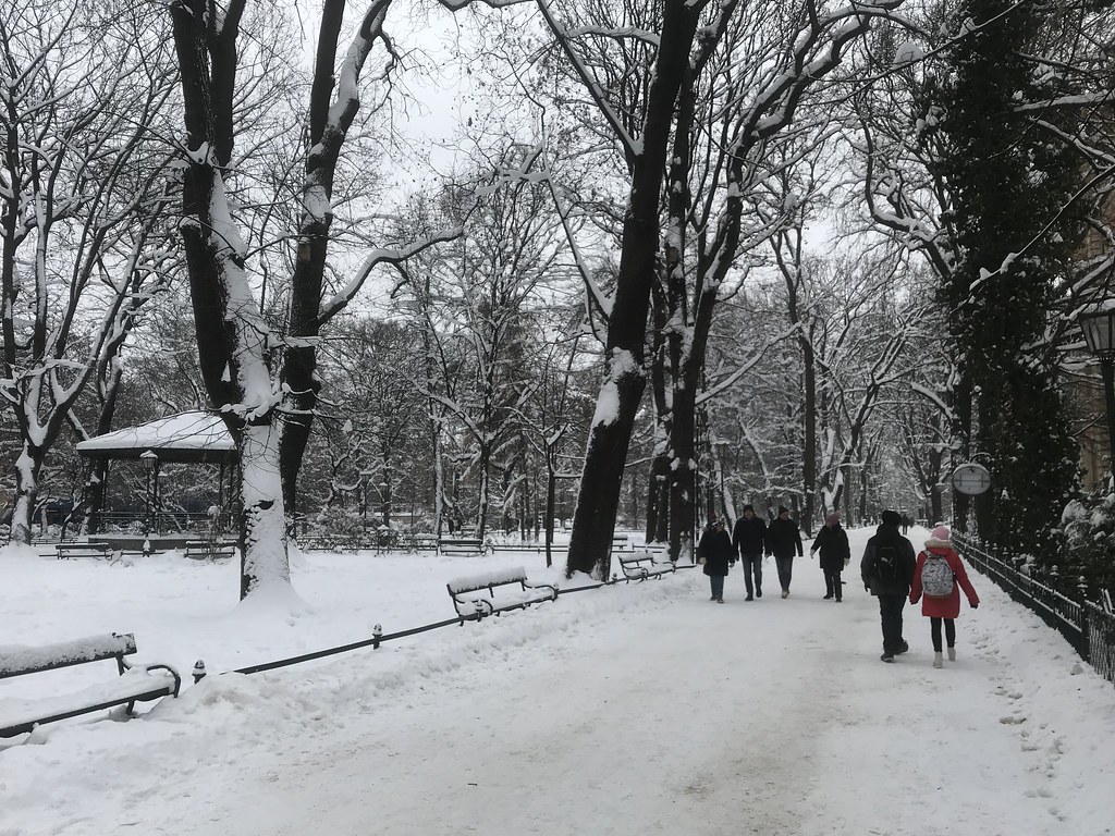 Allée enneigée du parc des Planty à Cracovie.