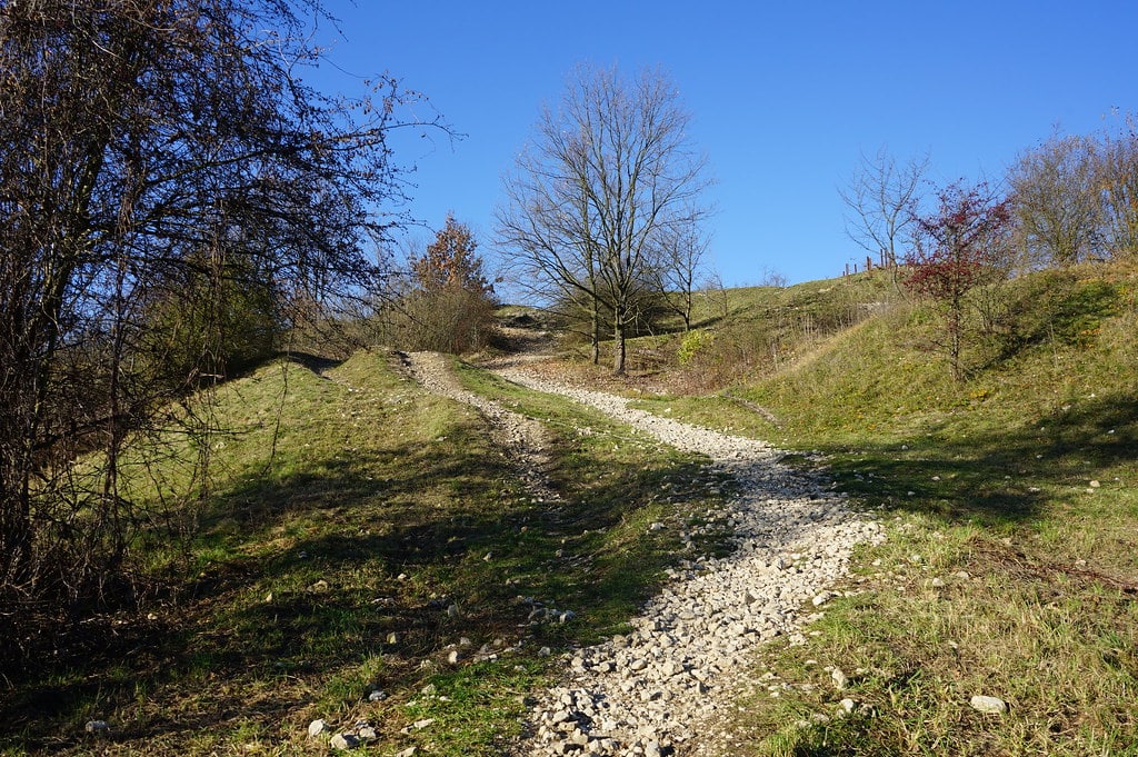 Sentier dans le parc Zakrzowek à Cracovie.
