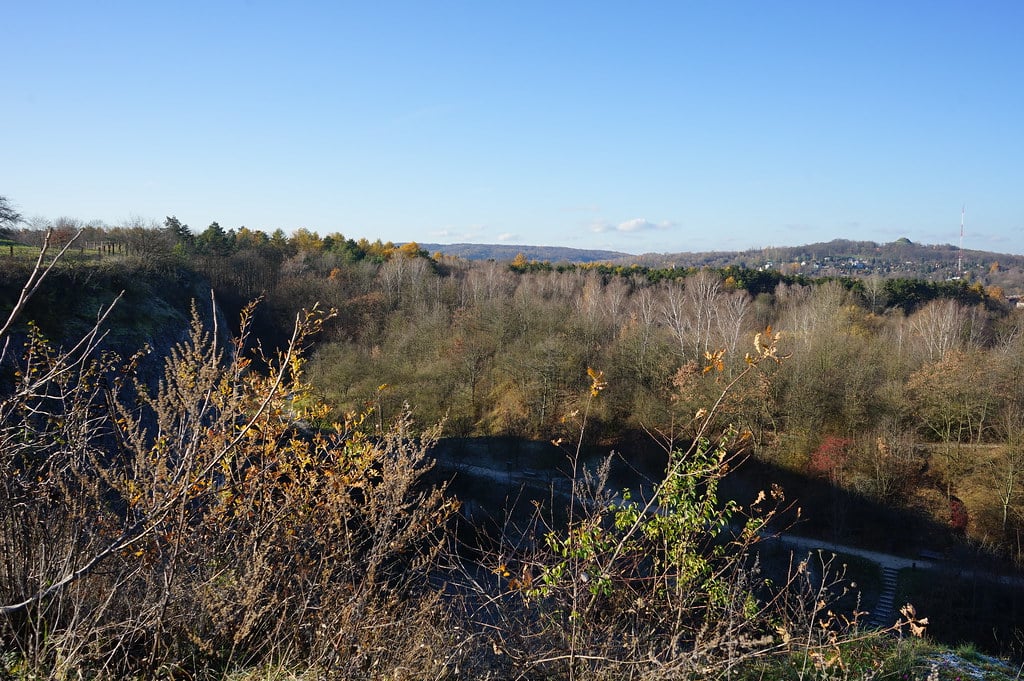 Vue vers l'ouest, le bois Wolski et le parc paysager Bielańsko-Tyniecki depuis les hauteurs du parc de Zakrzowek à Cracovie.