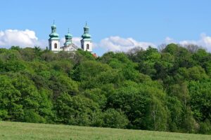 Bois autour de Cracovie : Randonnées, VTT, zoo et… vignobles !