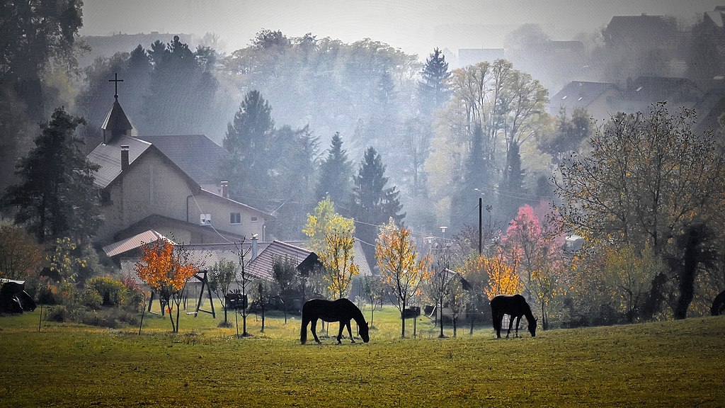 Dans le parc de Medvednica - Photo de Miroslav Vajdic - Licence ccbysa 4.0