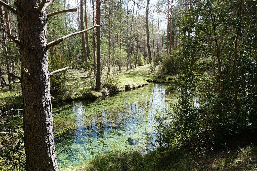 Nacimiento del rio Cuervo près de Cuenca - Photo de Tanja Freibott - Licence ccbysa 4.0