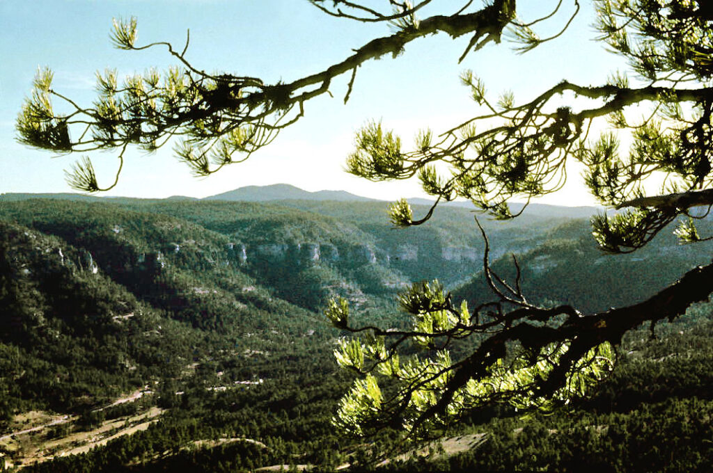 Paysage dans le parc de la Serrania de Cuenca - Photo de LBM1948 - Licence ccbysa 4.0