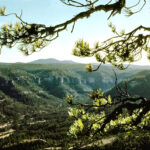 Parc de la Serranía de Cuenca et sa Ciudad Encantada : magique !