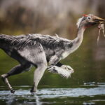 Musée de paléontologie de Cuenca : Fossiles et dinosaures !