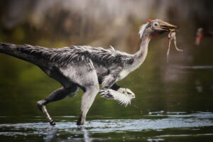 Musée de paléontologie de Cuenca : Fossiles et dinosaures !