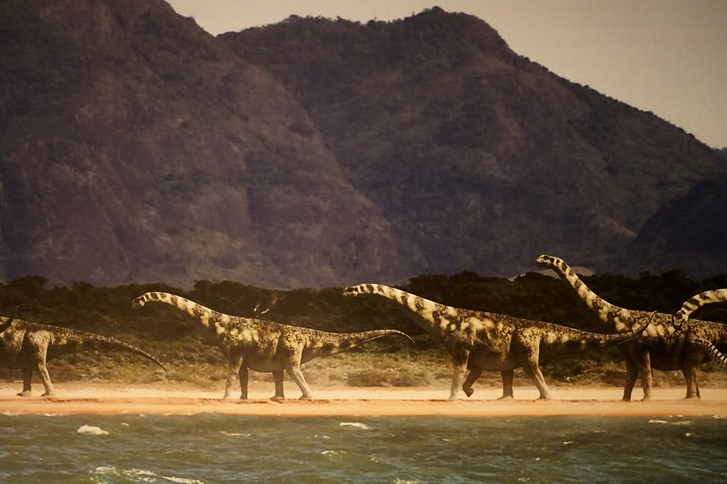 Visualisation d'un défilé d'herbivores dans le musée de paléontologie de Cuenca.