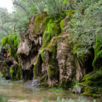 Monumento Natural del Nacimiento del Río Cuervo : Rivière et cascades