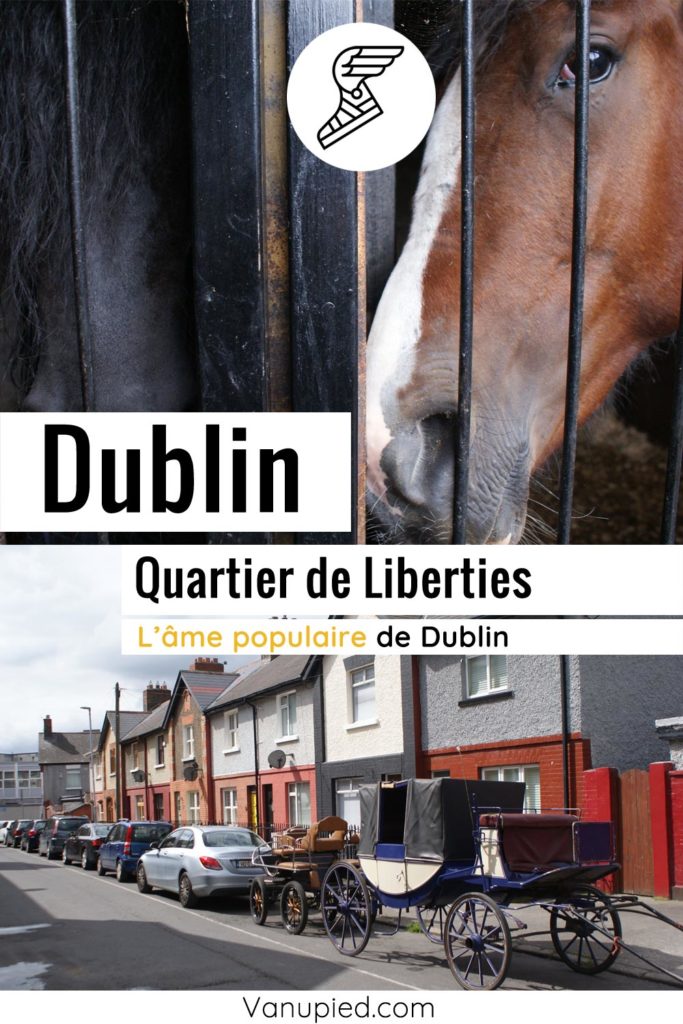 Quartier populaire de Liberties à Dublin