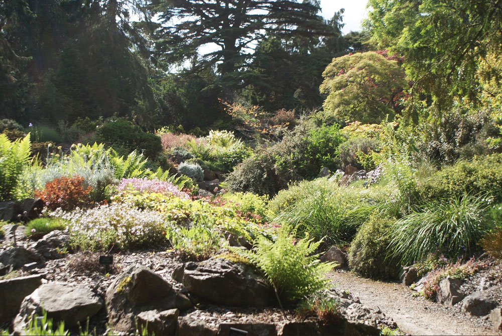 Jardin de rocaille et arboretum dans le fond du jardin botanique de Dublin