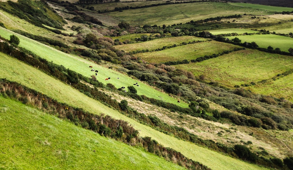 Partir à la découverte de l'Irlande en bus - Photo de Martie Swart