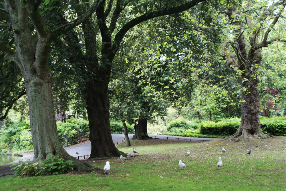 Dans le jardin Stephen's Green à Dublin.