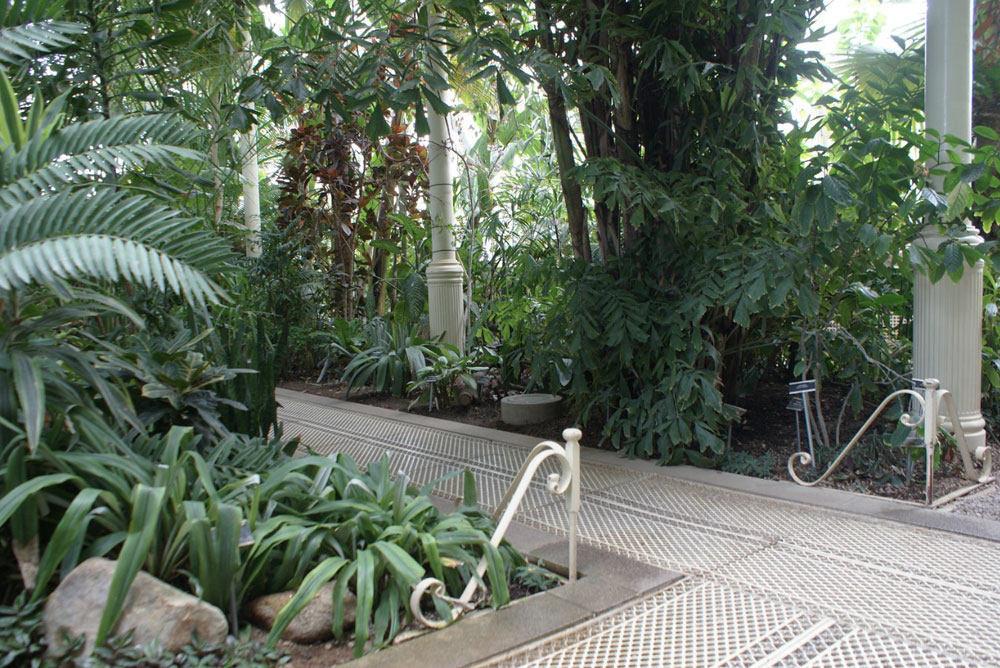 A l'intérieur des serres du Jardin botanique de Dublin