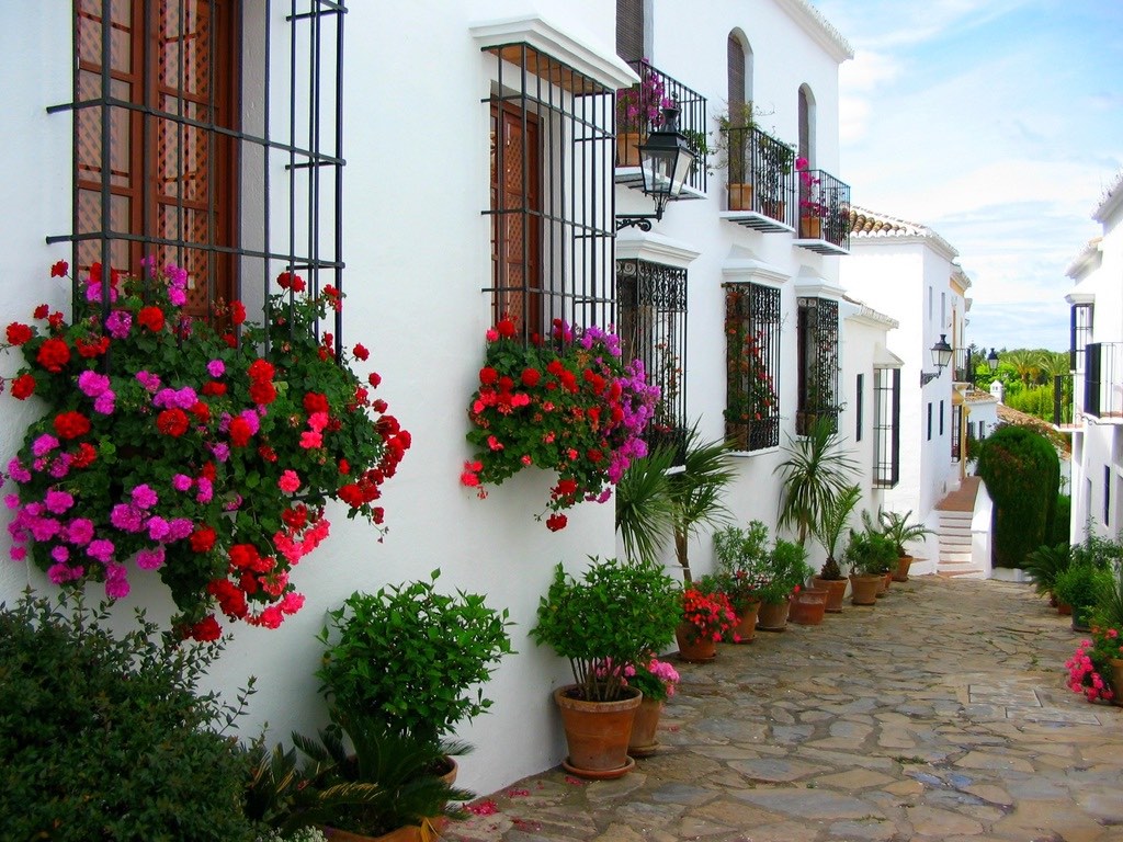 Géranium aux fenêtres d'une rue de Marbella en Andalousie.